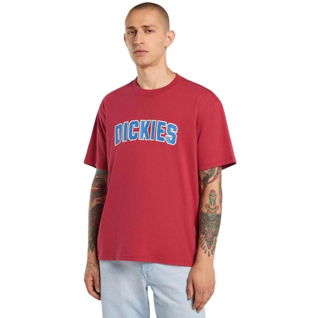 Dickies Ανδρική Μπλούζα Aitkin SS Tee DK0A88GL - 750089
