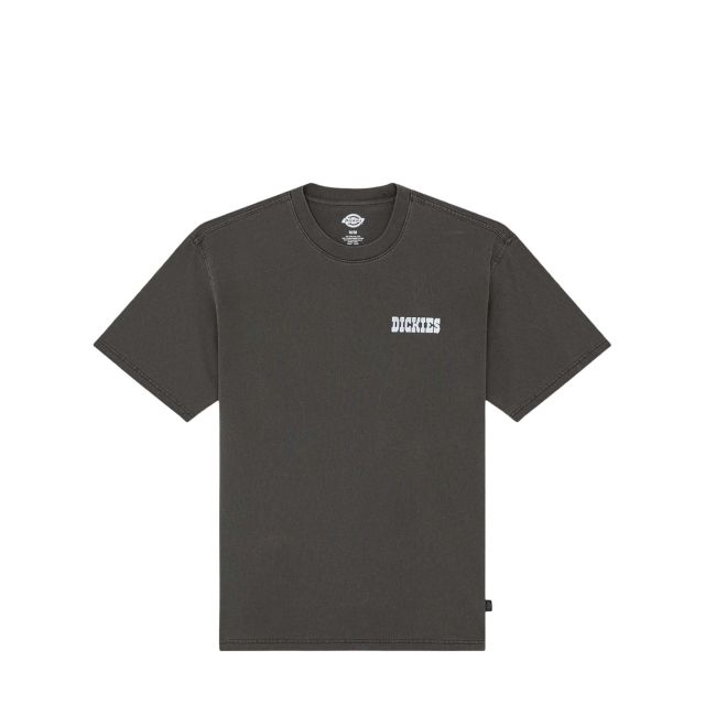 Dickies Buchtell SS Tee DK0A883B