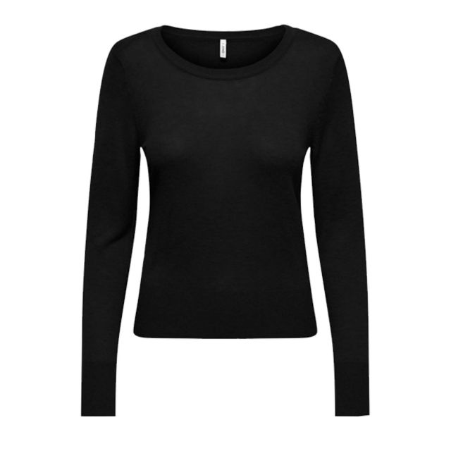 Only Γυναικεία Μπλούζα Onlvienna Ls O-Neck Cc Knt 15363102
